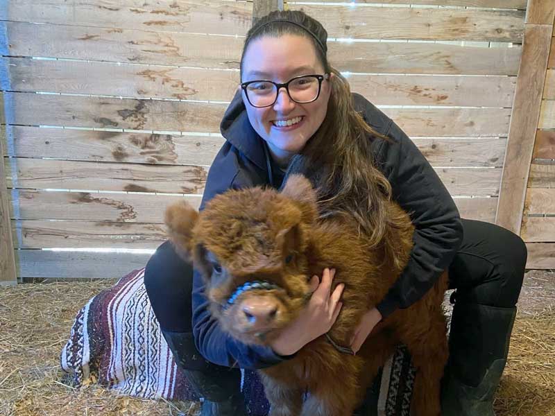 Countryside Veterinary Service - Large Animal Payment Options