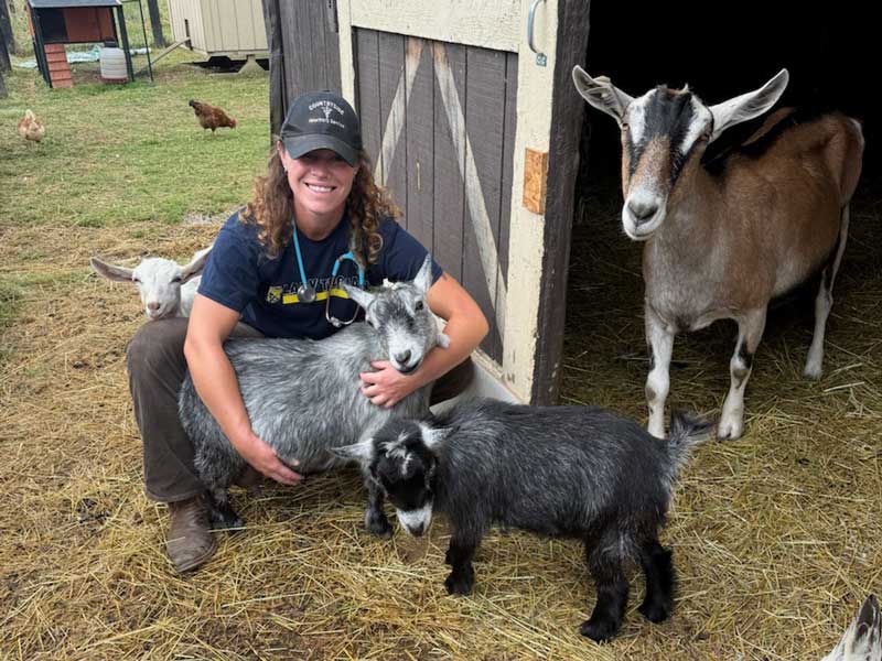 Countryside Veterinary Service - Large Animal Payment Options