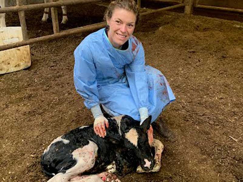 Veterinary Resources for your Pet